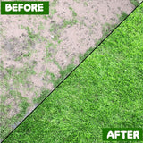 Degradable lawn seedling mat (10×0.7ft) for playgrounds, flower beds, greenhouse landscapes.