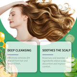 Hoegoa Rosemary Shampoo Moisturizing Hair Care Nourishing Moisturizing Bright Soft Cleansing Scalp Shampoo