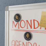 Urbanora Crowned Lion Magnet Set - Perfect for Gifts, Home Decor, Fridge Essentials, Collectibles, and Symbolic Decor